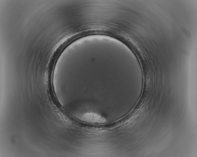 X0000112910975200909211028