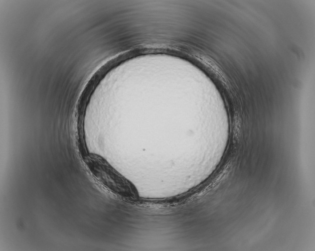 X0000112910976200909211028