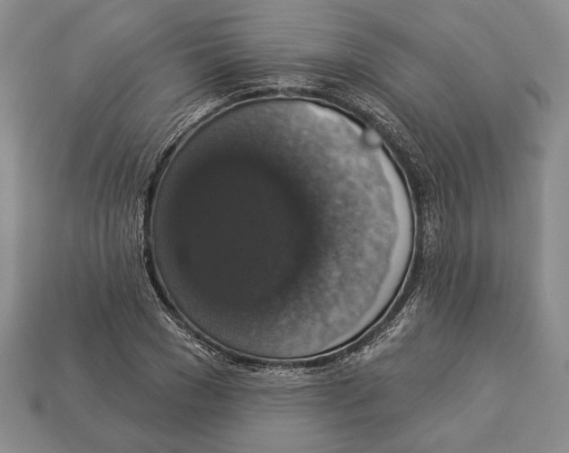 X0000112910977200909211028