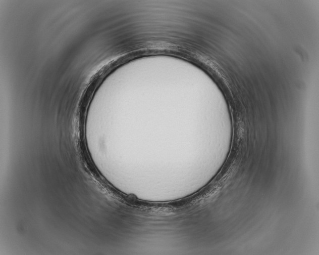 X0000112910979200909211028