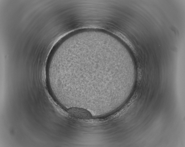 X0000112910980200909211028