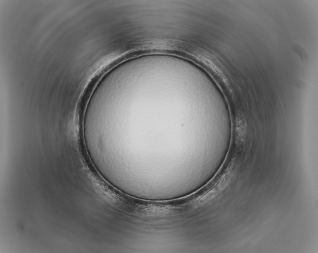 X0000112910981200909211028