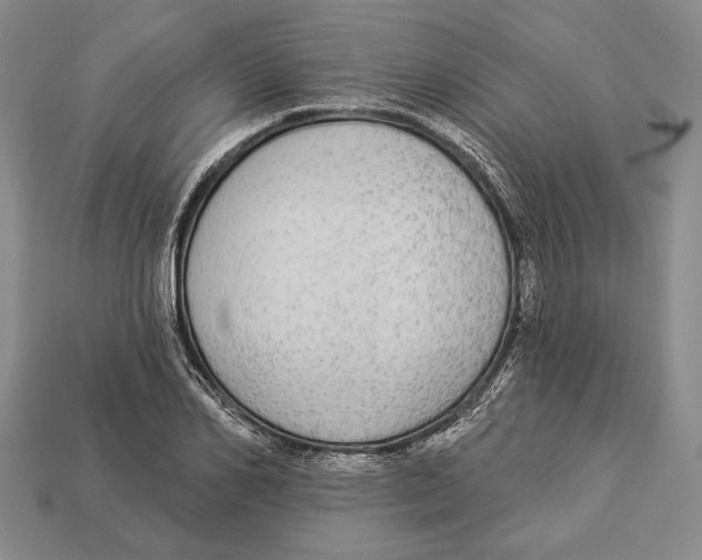 X0000112910982200909211027