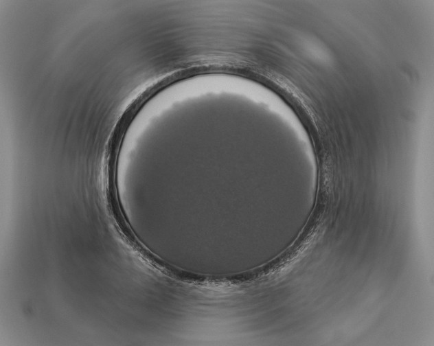 X0000112910983200909211027