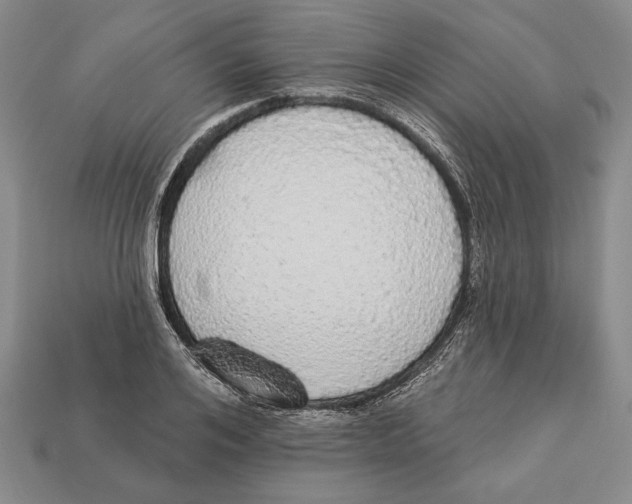 X0000112910984200909211027