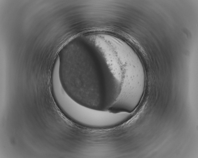 X0000112910985200909211027