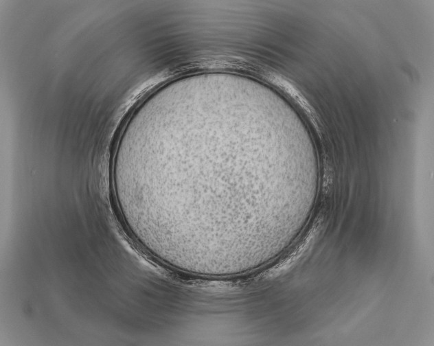 X0000112910986200909211027