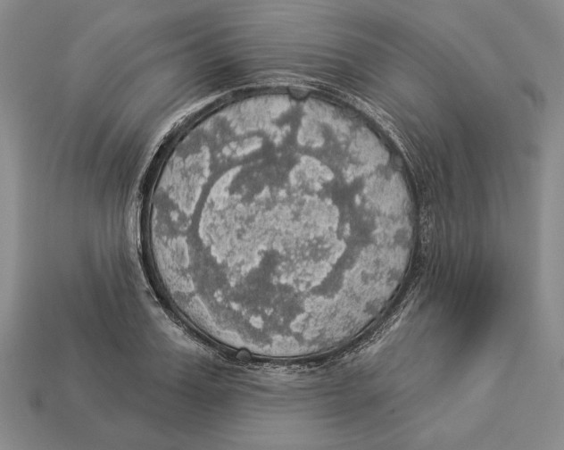 X0000112910987200909211027