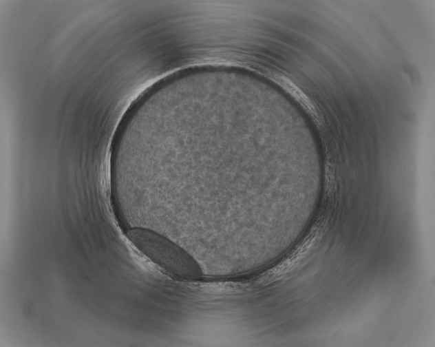 X0000112910988200909211027