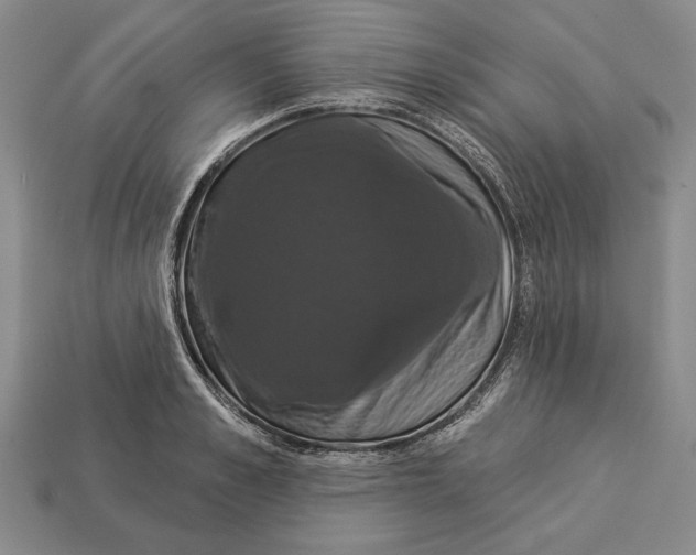 X0000112910989200909211027