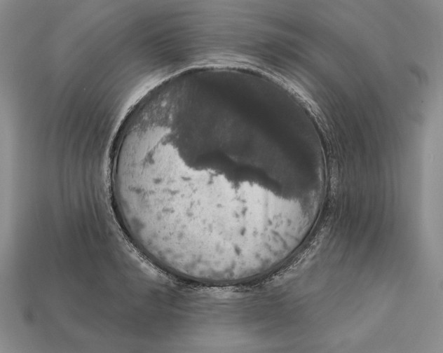 X0000112910990200909211027