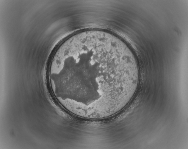 X0000112910991200909211027