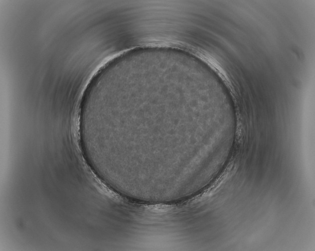 X0000112910992200909211027