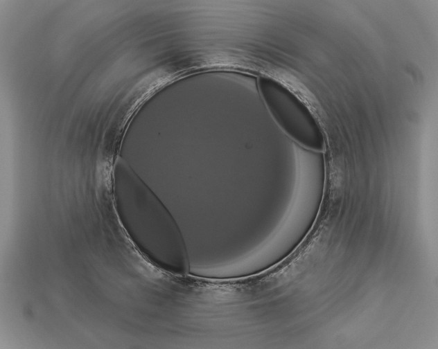 X0000112910993200909211027