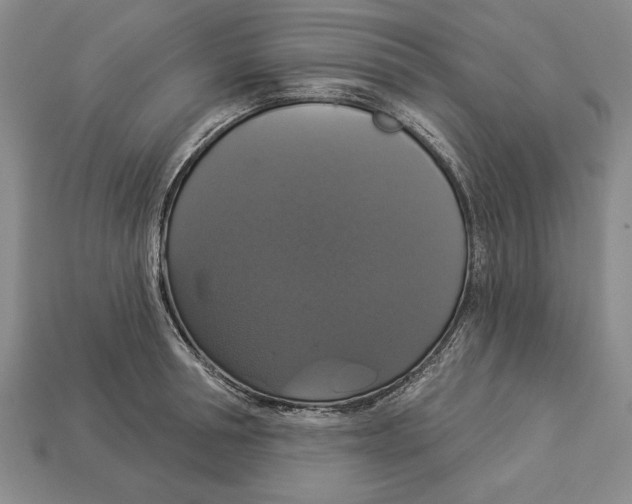 X0000112910994200909211027