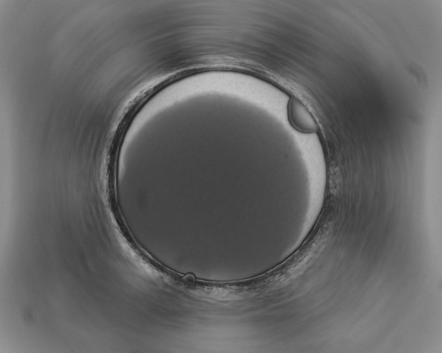 X0000112910995200909211027