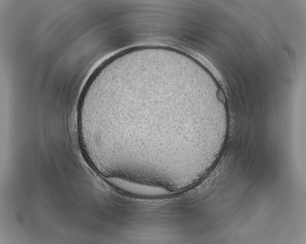 X0000112910996200909211027