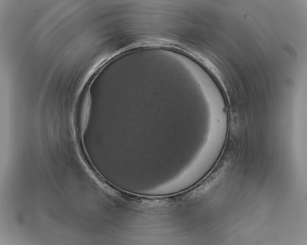 X0000112910997200909211027