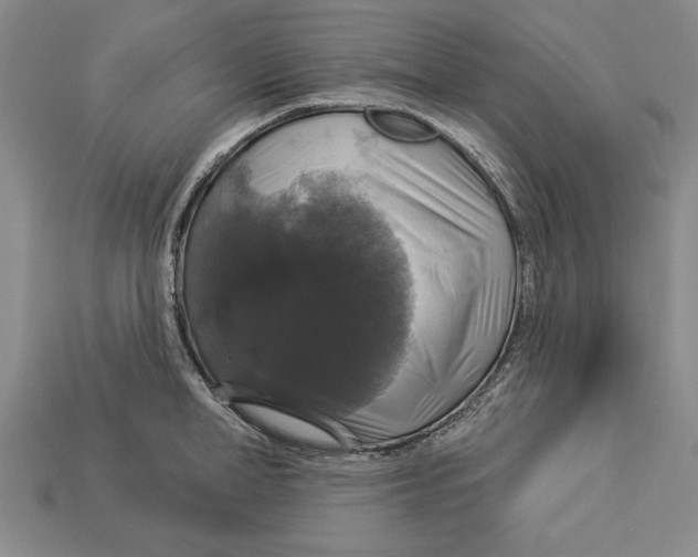 X0000112910998200909211027