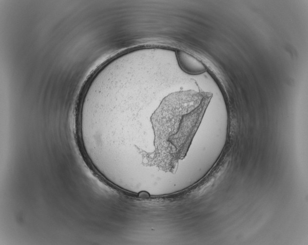 X0000112910999200909211027