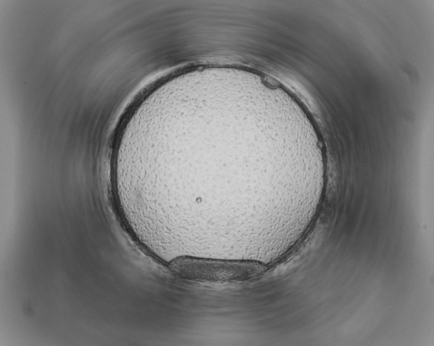 X0000112911000200909211027