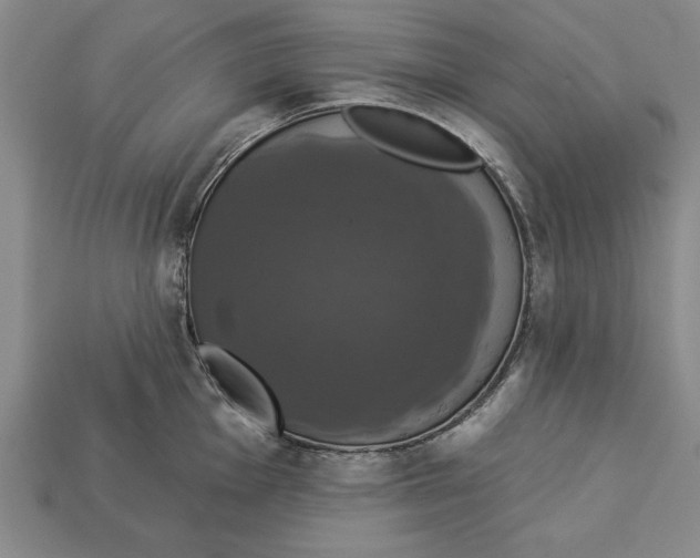 X0000112911001200909211027