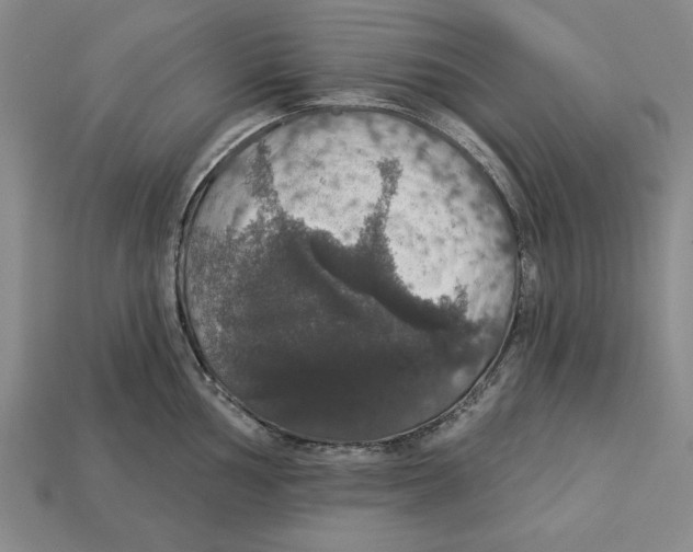 X0000112911002200909211027