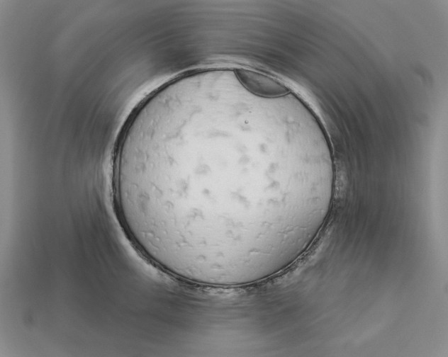 X0000112911003200909211027