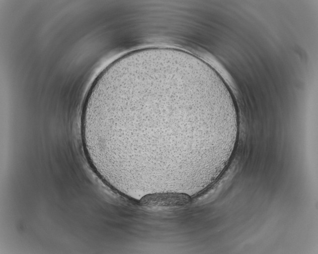 X0000112911004200909211027