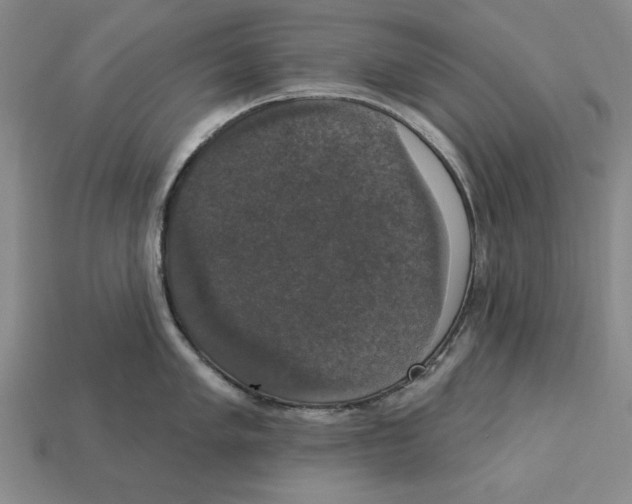 X0000112911005200909211027