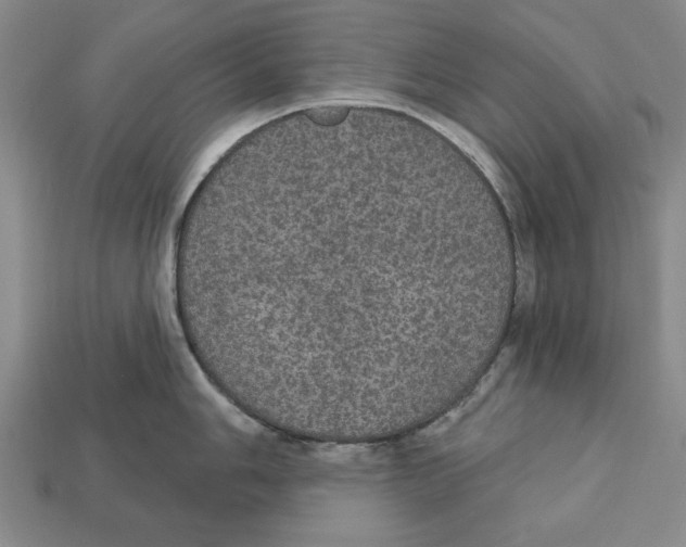 X0000112911006200909211027