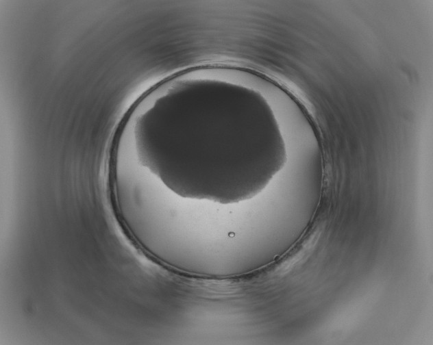 X0000112911007200909211027