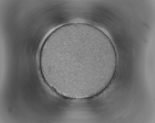 X0000112911008200909211027