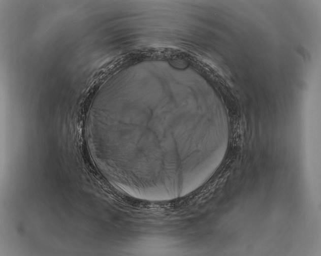 X0000112911013200909211027