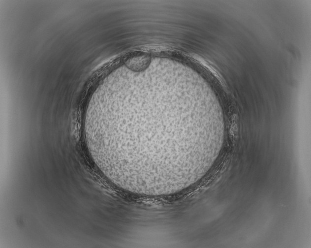 X0000112911015200909211027