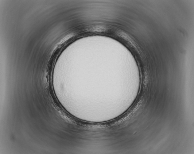 X0000112911018200909211027