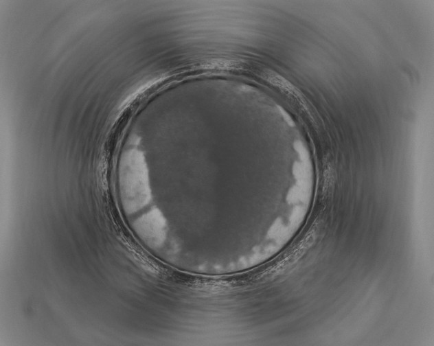 X0000112911019200909211027