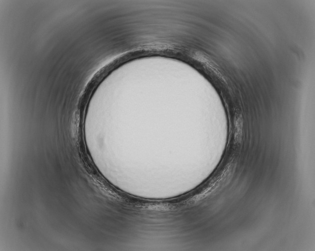 X0000112911021200909211027