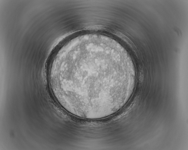 X0000112911022200909211027