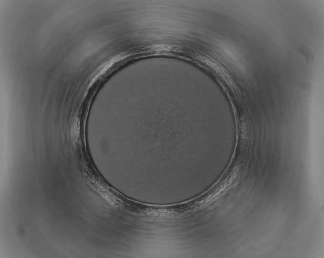 X0000112911023200909211027