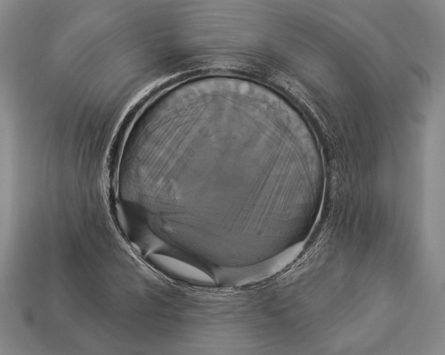 X0000112911024200909211027