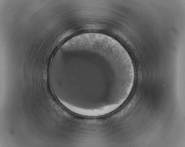 X0000112911025200909211027