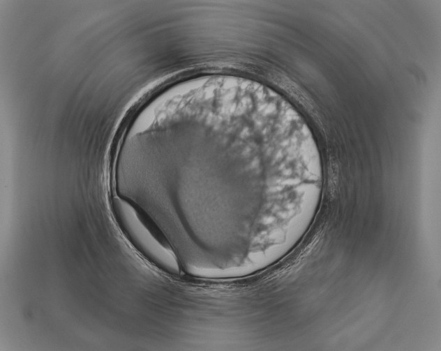 X0000112911028200909211027