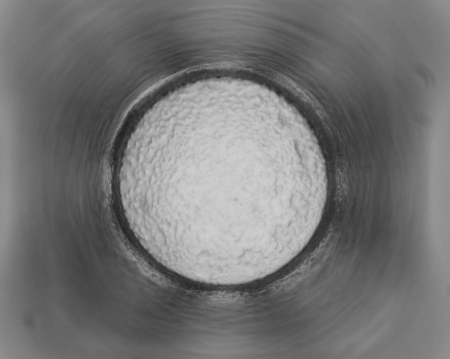 X0000112911029200909211027