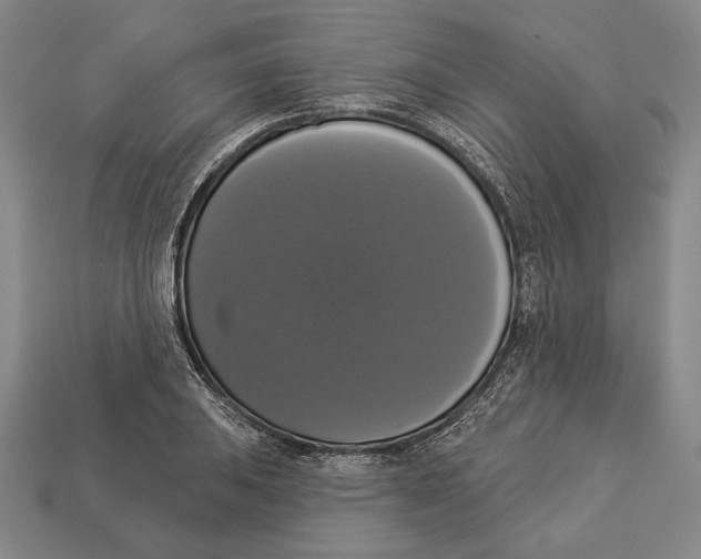 X0000112911031200909211027