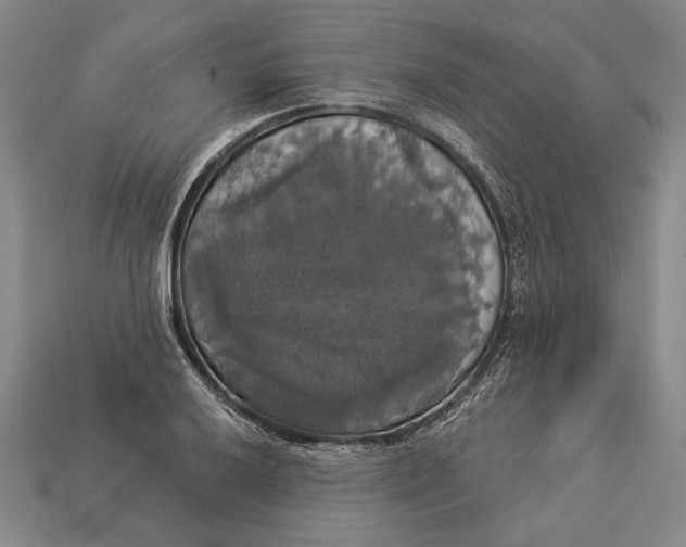 X0000112911032200909211027