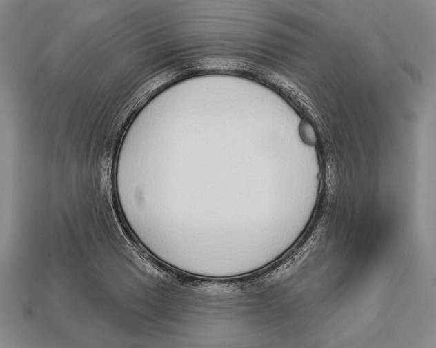 X0000112911033200909211027