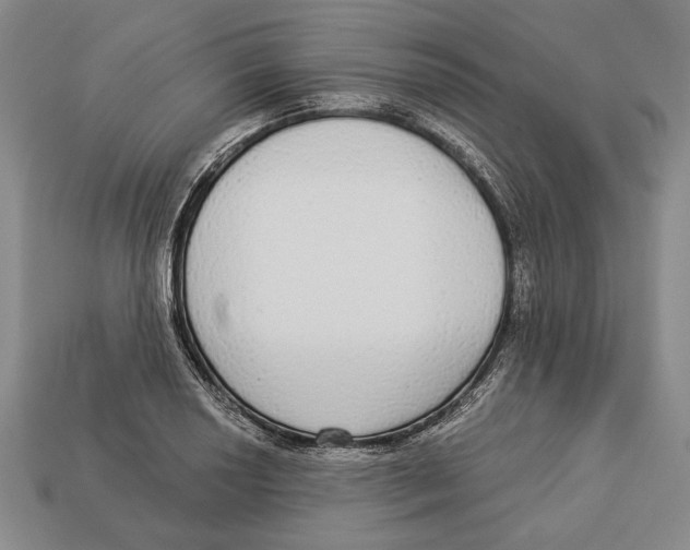 X0000112911034200909211027