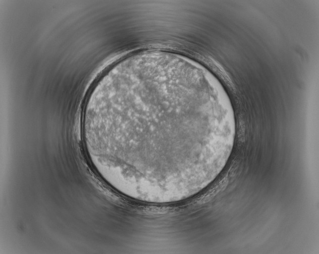 X0000112911036200909211027