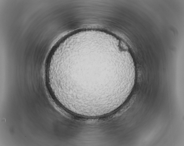 X0000112911038200909211027